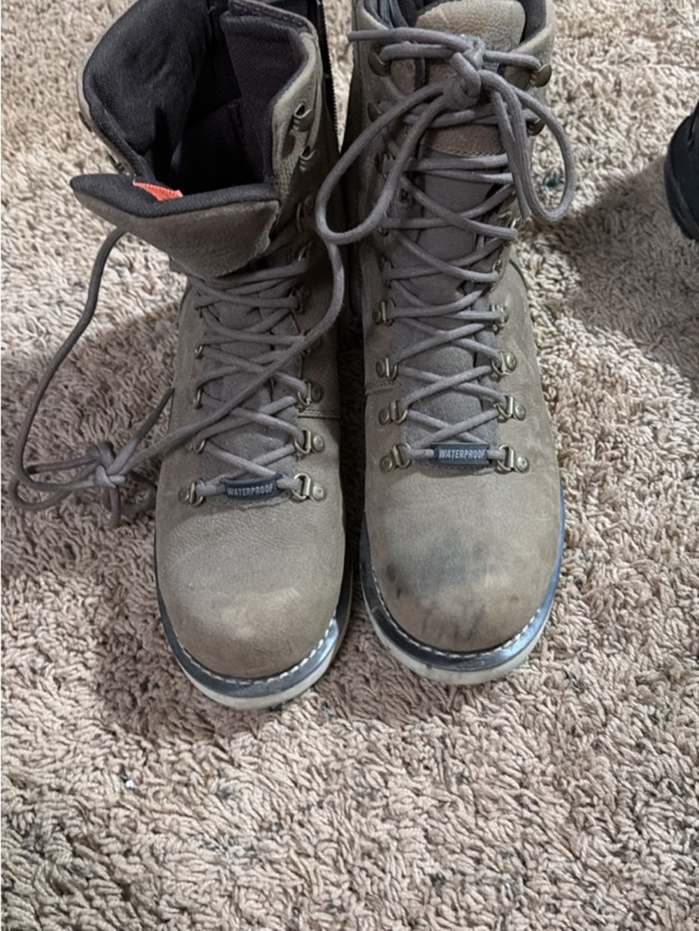 Womens Harley Davidson Riding boots
